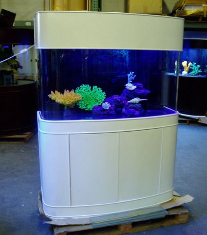 Custom Aquarium Design