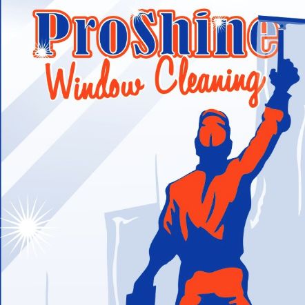 ProShine Window Cleaning