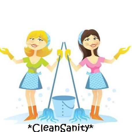 Clean Sanity