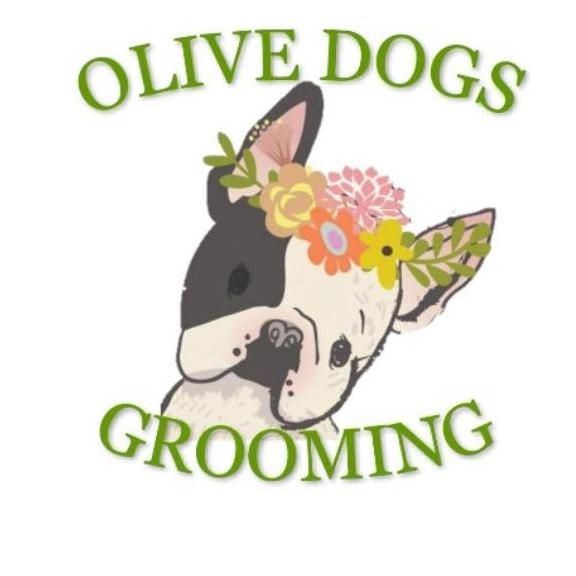 Olive Dogs Grooming Salon