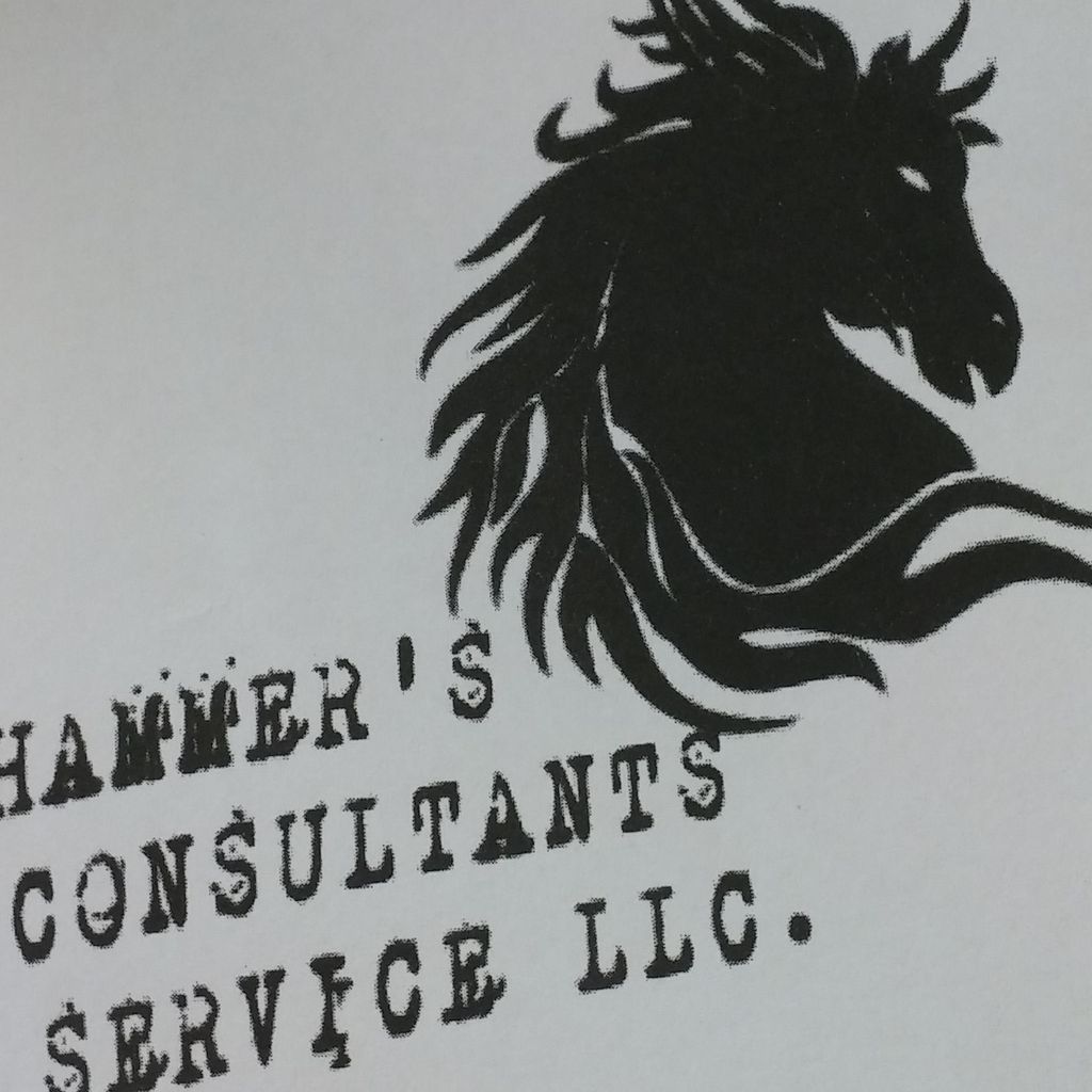 Hammer's Consultants Service LLC