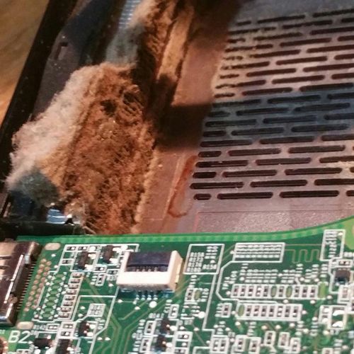 Inside customer laptop that overheated clogged exi