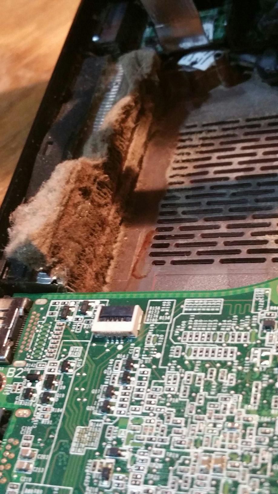 Inside customer laptop that overheated clogged exi