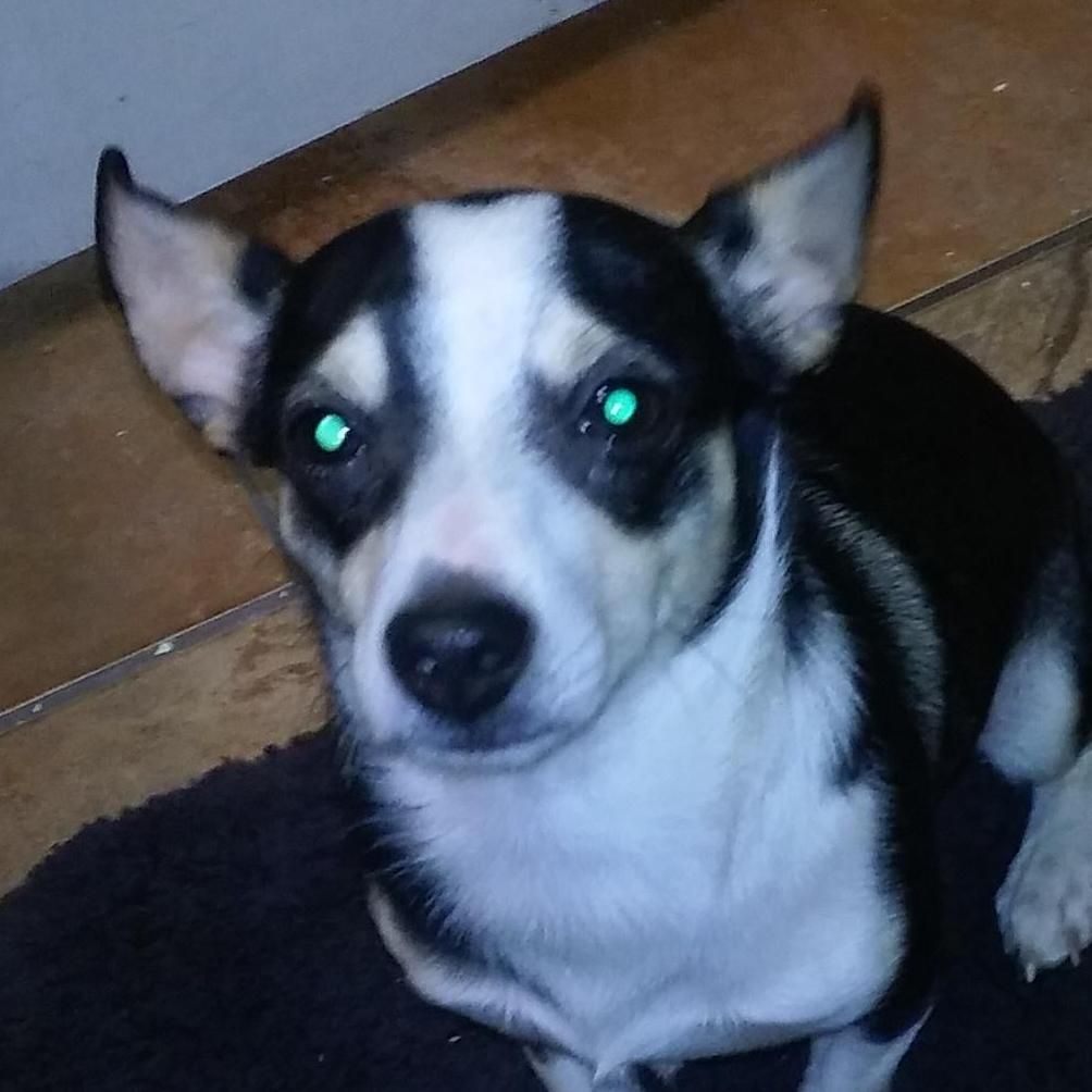 Las Vegas Outdoor Landscapes