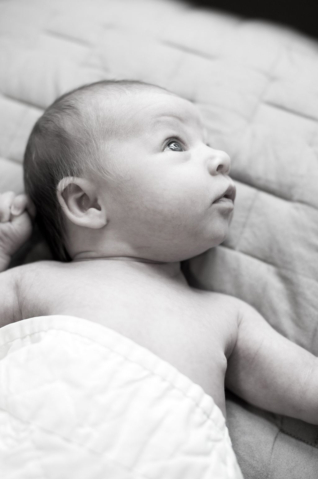 Newborns