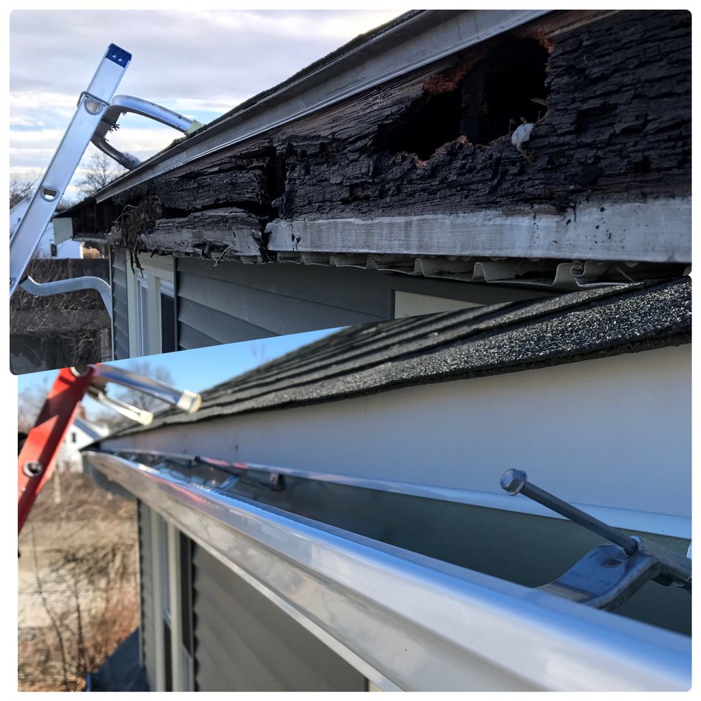 Fascia board and soffit replacement