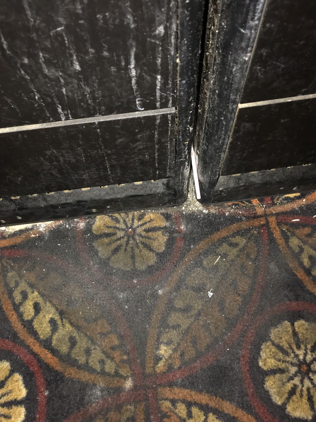 BEFORE we cleaned the carpet. 