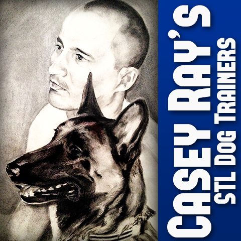 Casey Ray's STL Dog Trainers