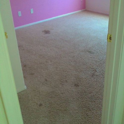 Bedroom Carpet Before