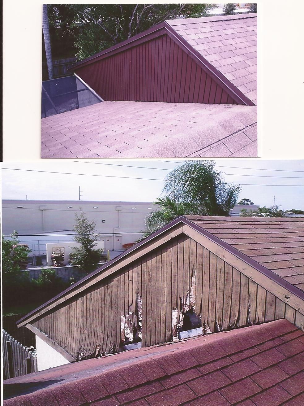 T1-11 Replacement & Paint House