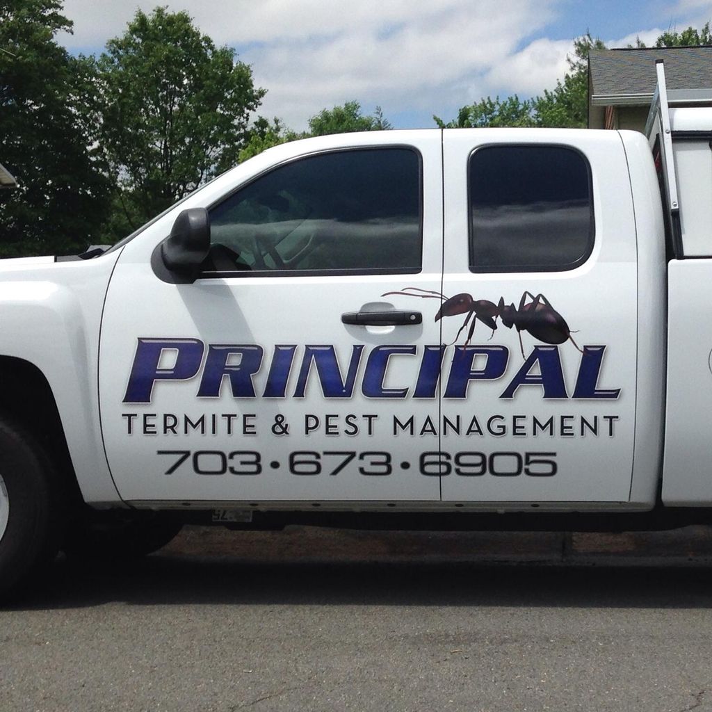 Principal Termite & Pest Management