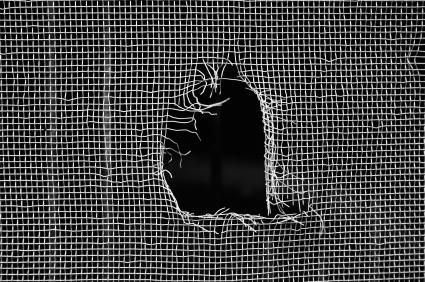 Window and door screen repairs and installation.