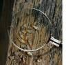Our inspectors can check for termites and the dama