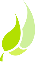 Avatar for Emerald Meadows Landscaping