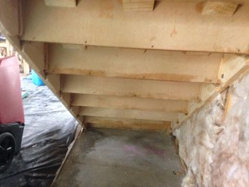 After Mold Treatment