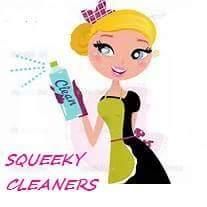 Squeeky Cleaners