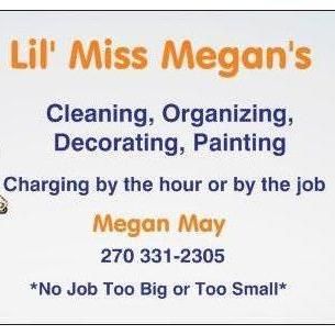 Little Miss Megan's Cleaning