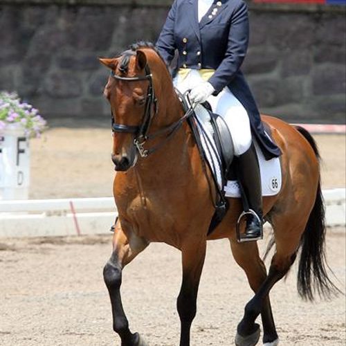 Competing "Lancelot" at 2007 Brentina Cup Champion
