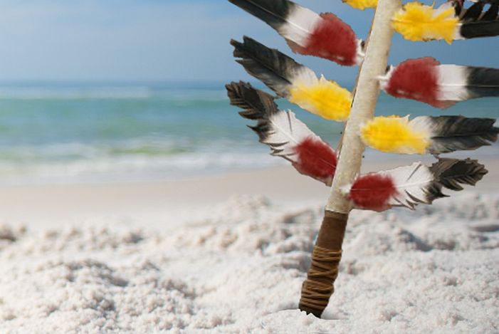 Florida State University Panama City Beach