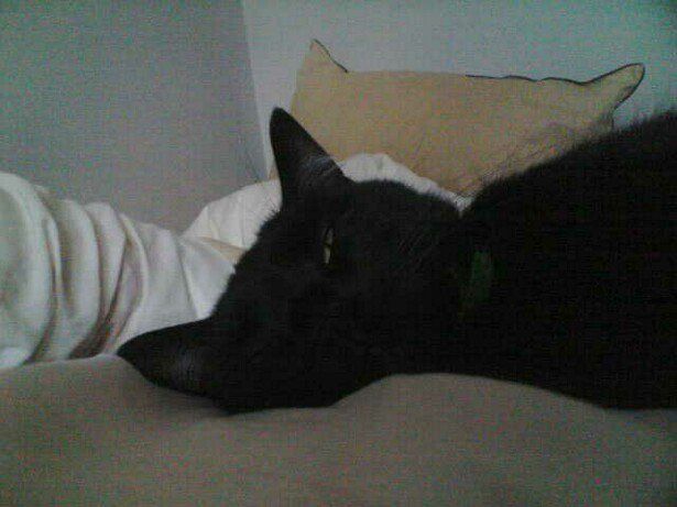 Blix.