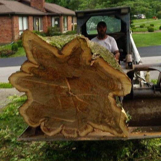 Smith tree services and remodeling