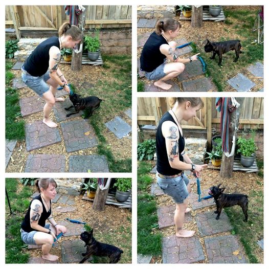 Learning impulse and bit control.
