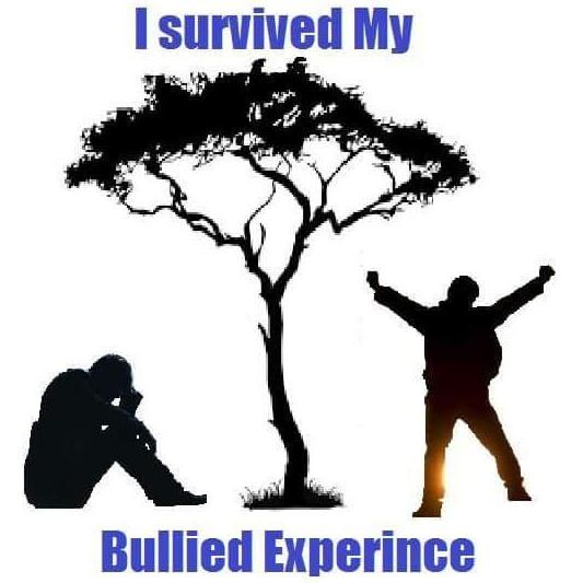 The Bullied Experience