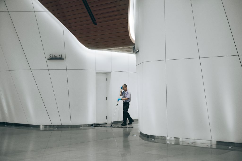 Metro Detroit Cleaning Services - Professional Jan