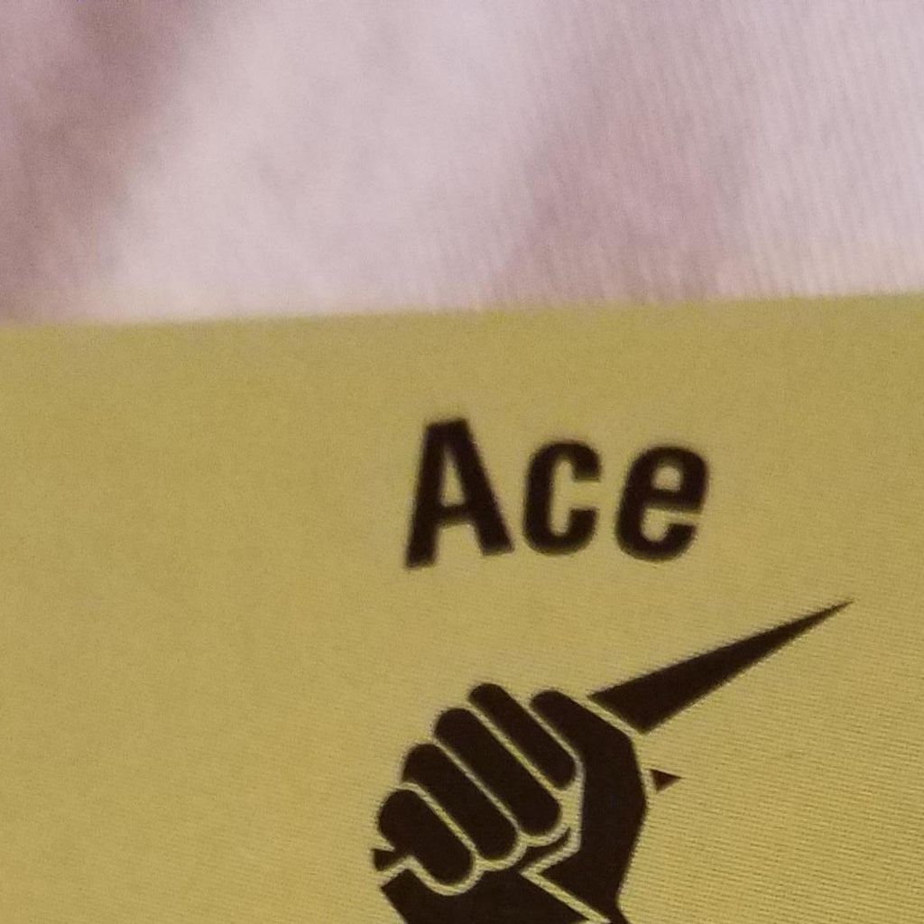 ACE ELECTRIC