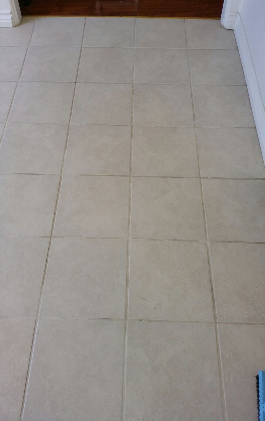 Beige Tile and White grout Before Service..