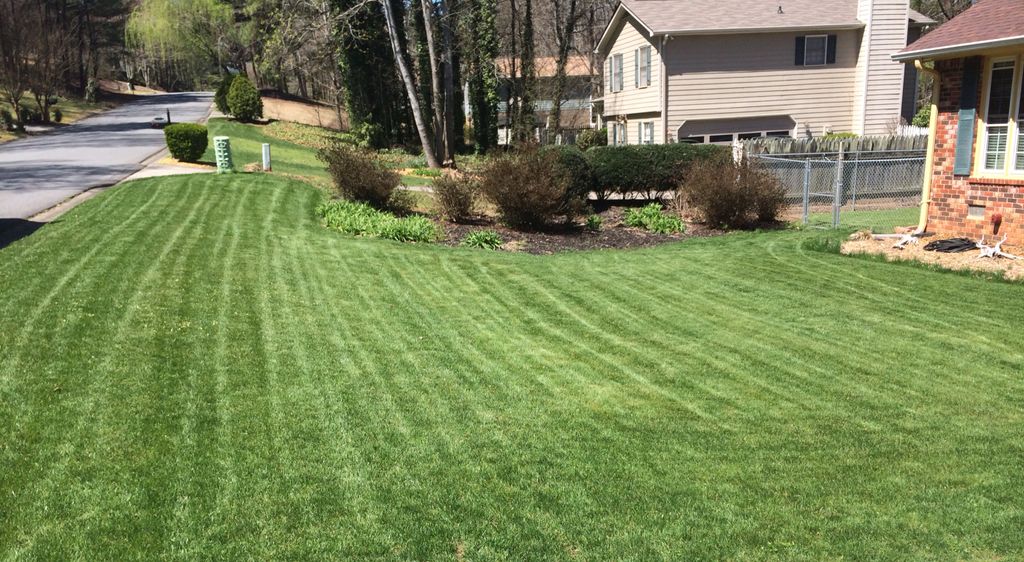 Fescue
