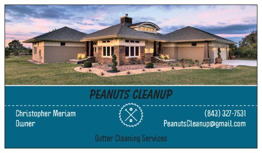 Peanuts Cleanup Gutter Cleaning Services