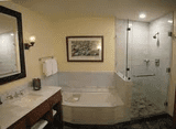 Bathroom Cleaning and sanitizing 
Shower
Tub
Toile