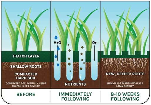 Why Aeration is One of the Best Things You Can Do 