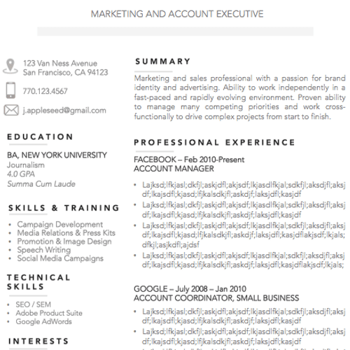 Example Resume Format