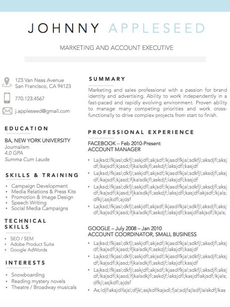 Example Resume Format