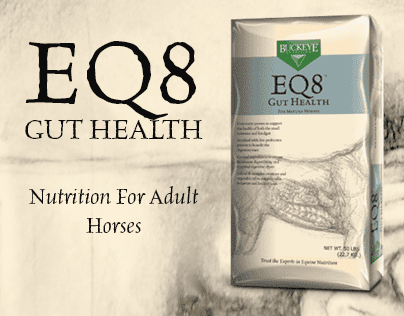 EQ8 Gut Health branding design. Premium feed for a