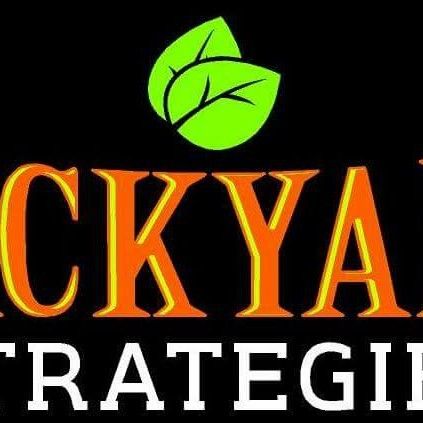 Backyard Strategies LLC