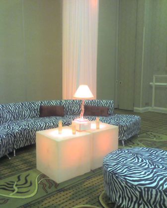 Leopard print couches, lighted cube table