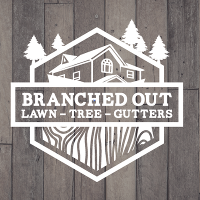 Avatar for Branched Out Gutters