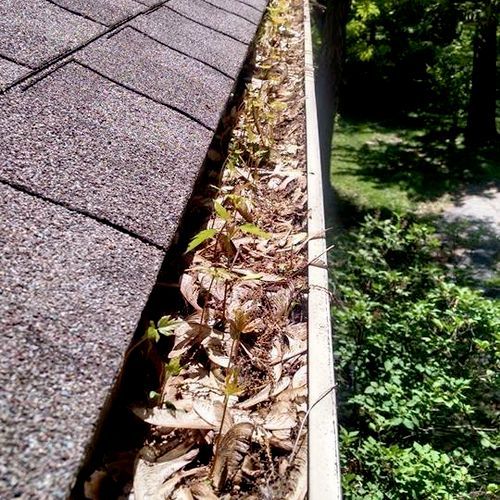 Before - Overflowing gutters
