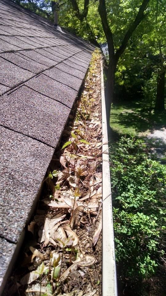 Before - Overflowing gutters