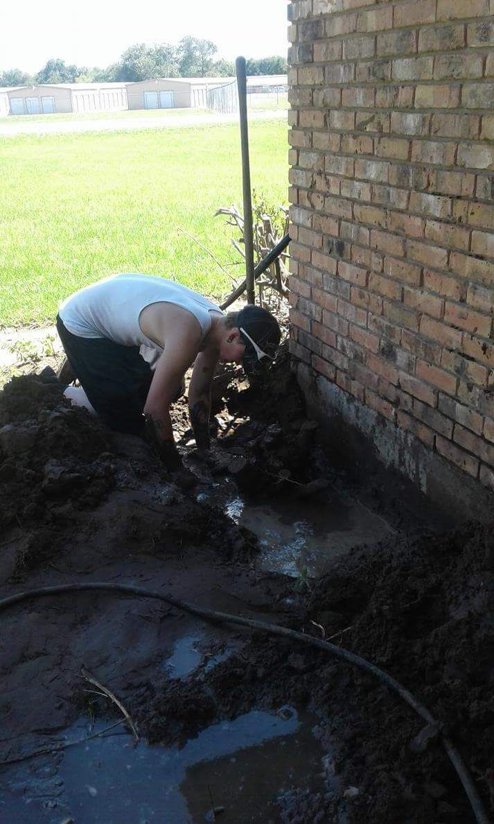 Cleaning out srub roots