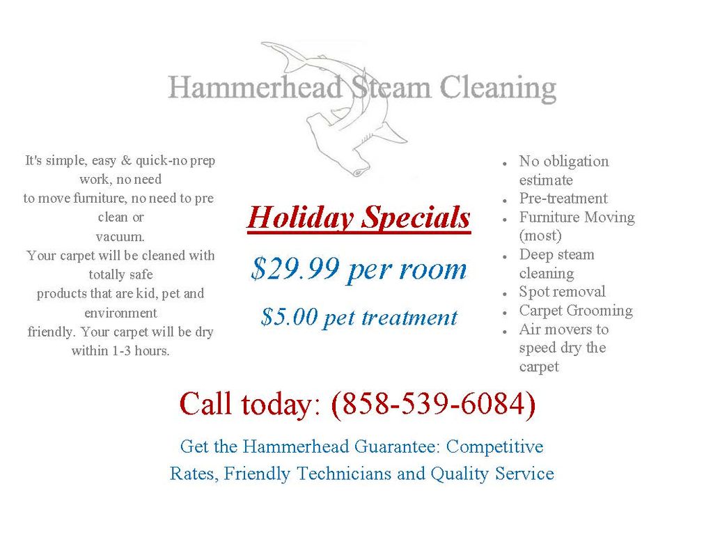Hammerhead Carpet Cleaning