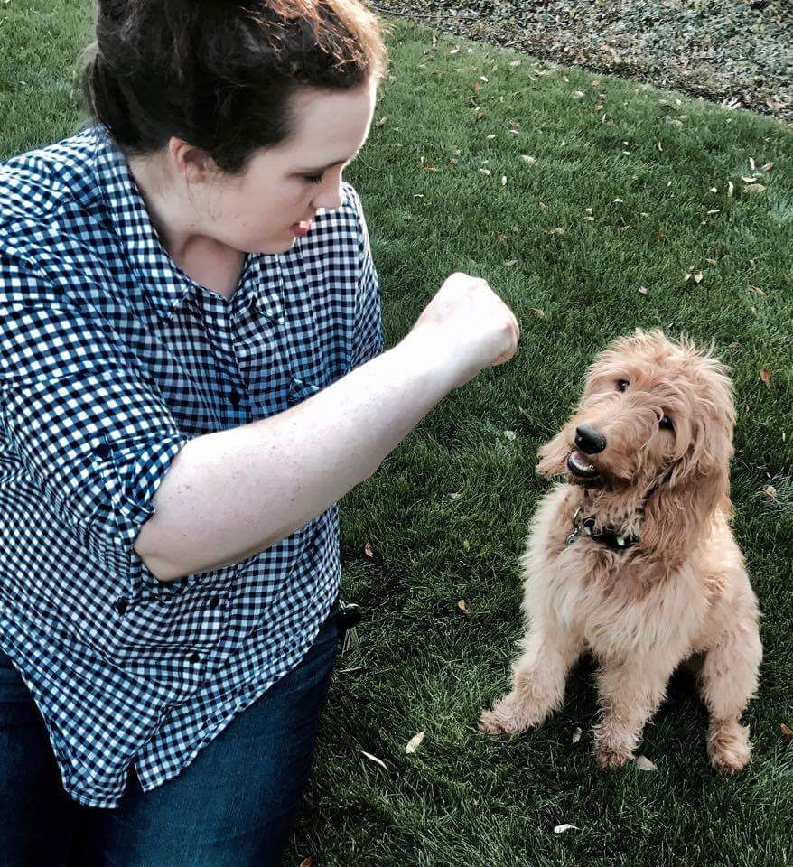 Hand signals AND verbal commands are really import