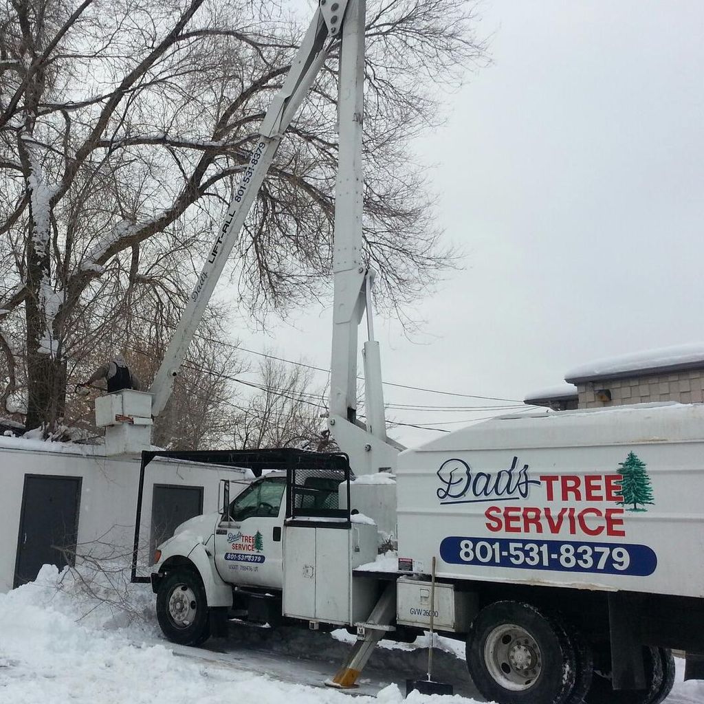 Dad's Tree Service, Inc.