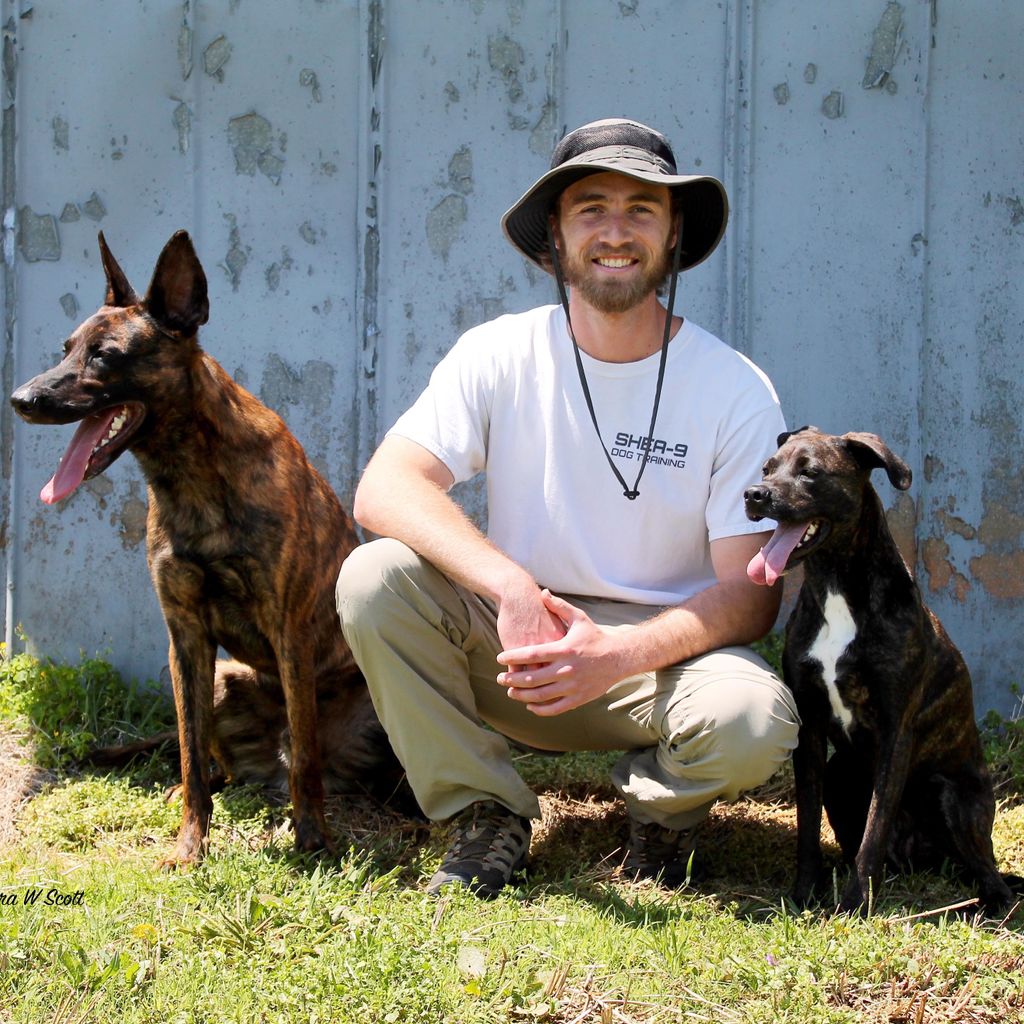 Shea-9 Dog Training, LLC