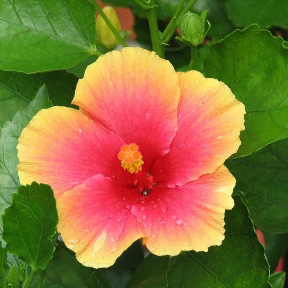 Creativescapes by Heather Malone