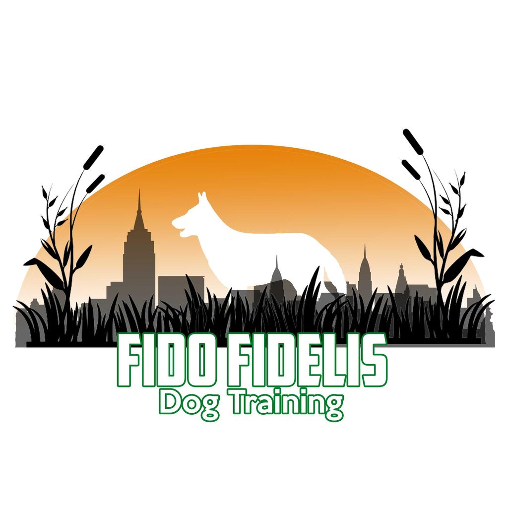 Fido Fidelis Dog Training