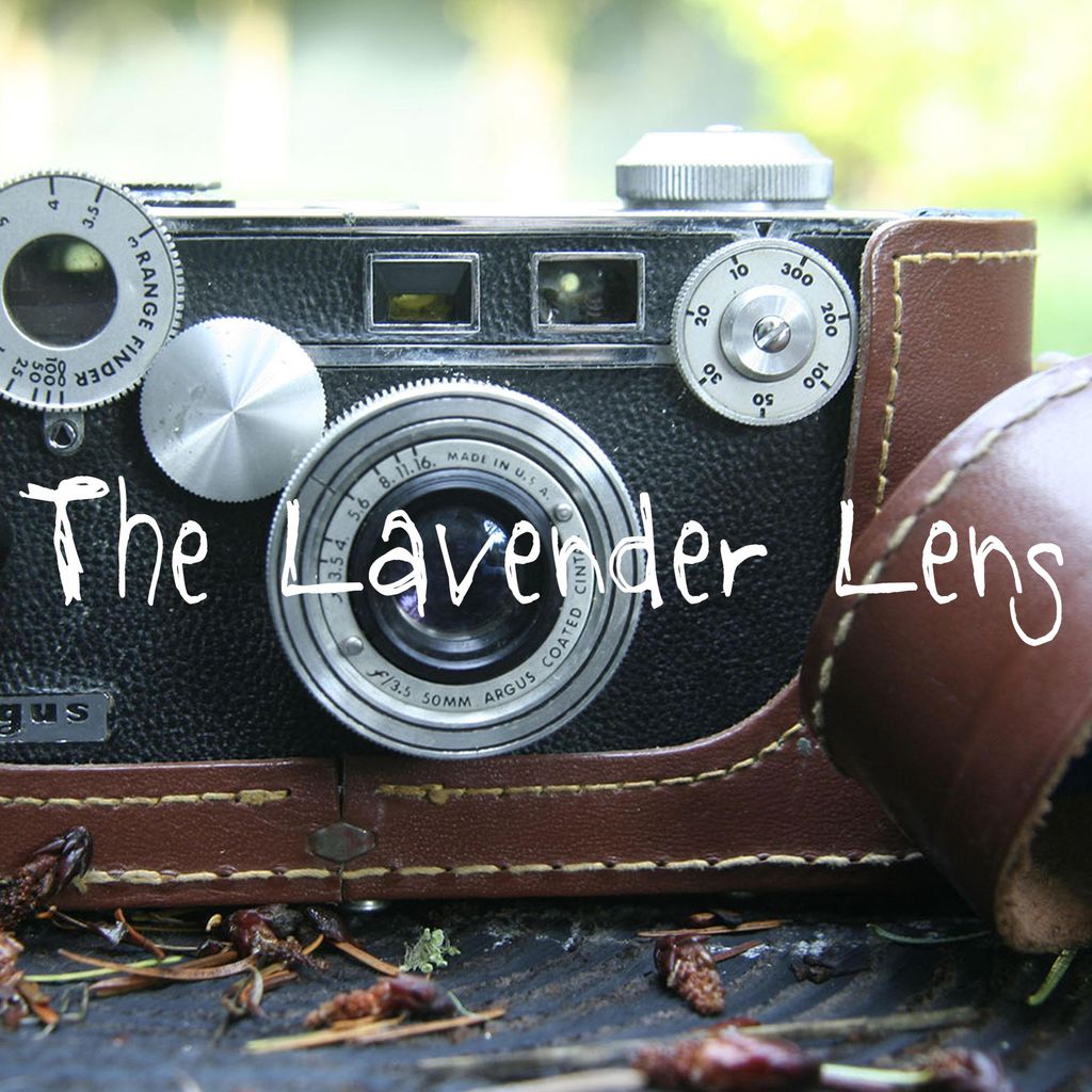 The Lavender Lens